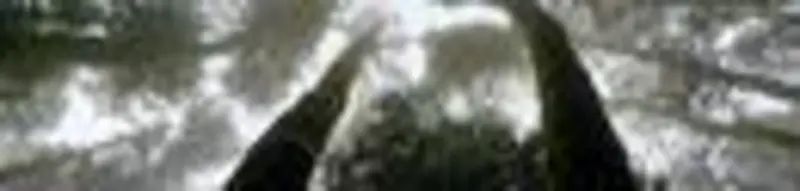 Andromeda - Whitelable logo